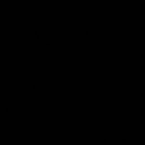 Meet your Posher, Sapir